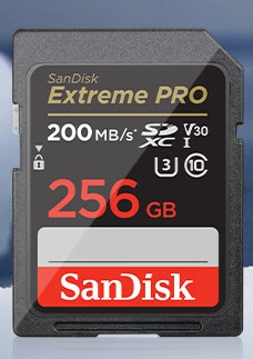 閃迪/SanDisk U3 C10 4K U盤/存儲(chǔ)卡  256GB 190MB/s 黑色
